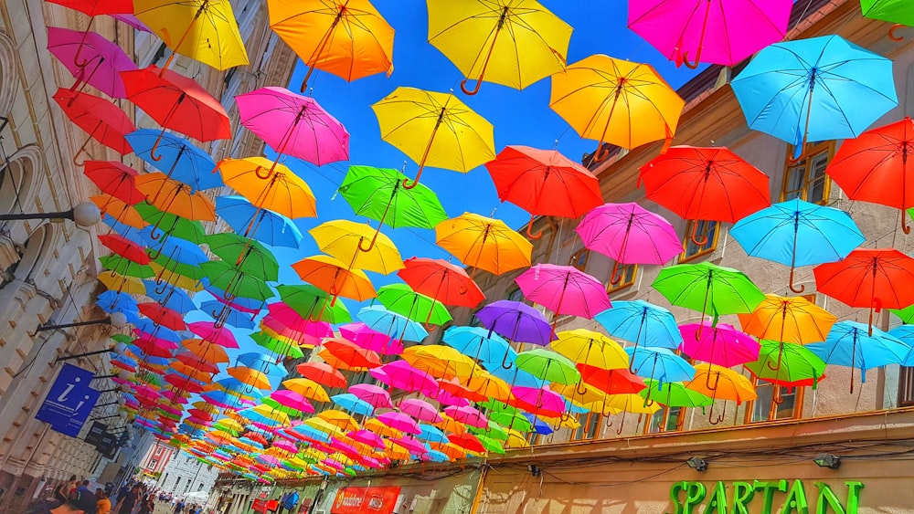 assorted-color umbrella lot