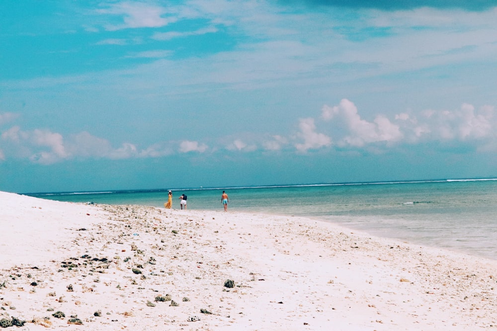 three person standing on shore