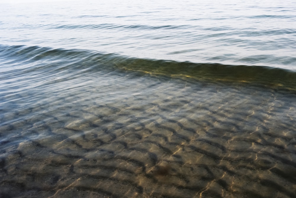 sea waves on shore during daytime