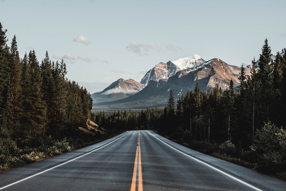 wide road under blue sky