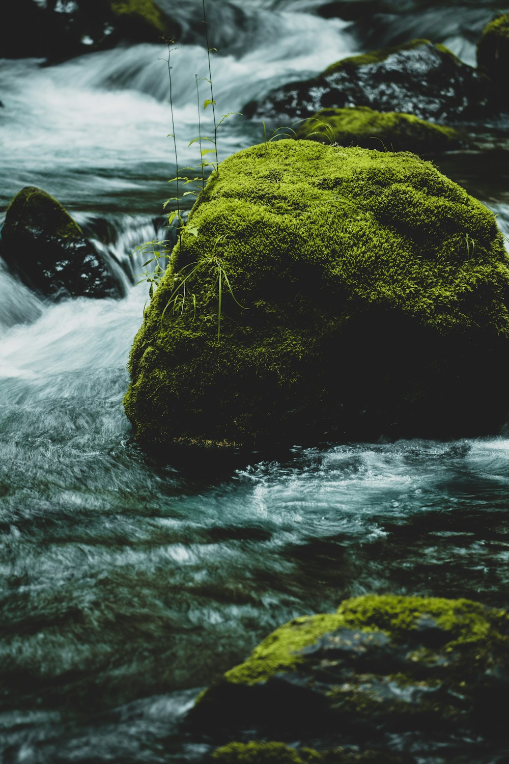 Rocks With Moss Stock Photo - Download Image Now - Backgrounds