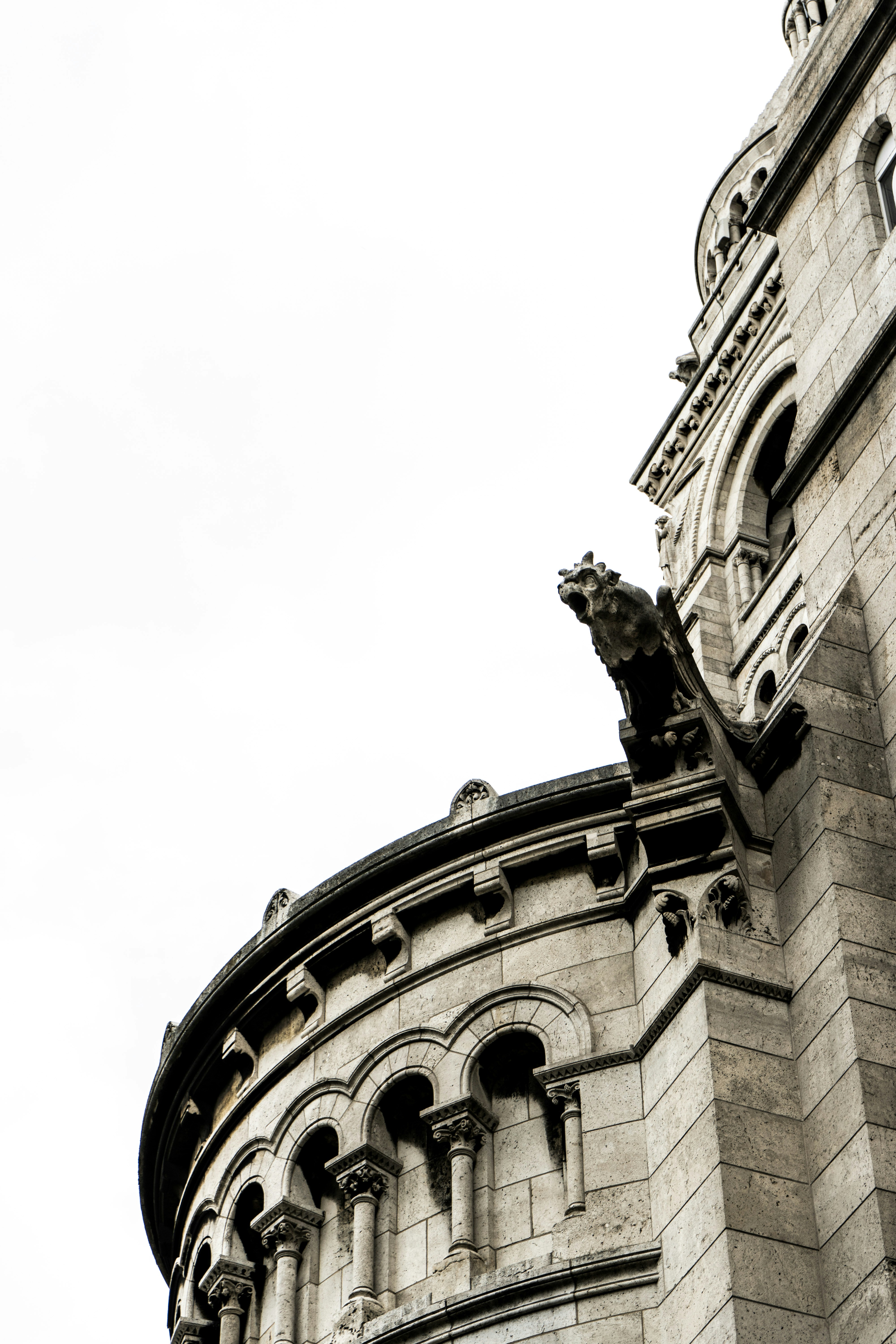 Photo by virussinside