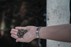 A hand, wearing a silver watch, holds a quantity of small, dark pellets against a blurred background.