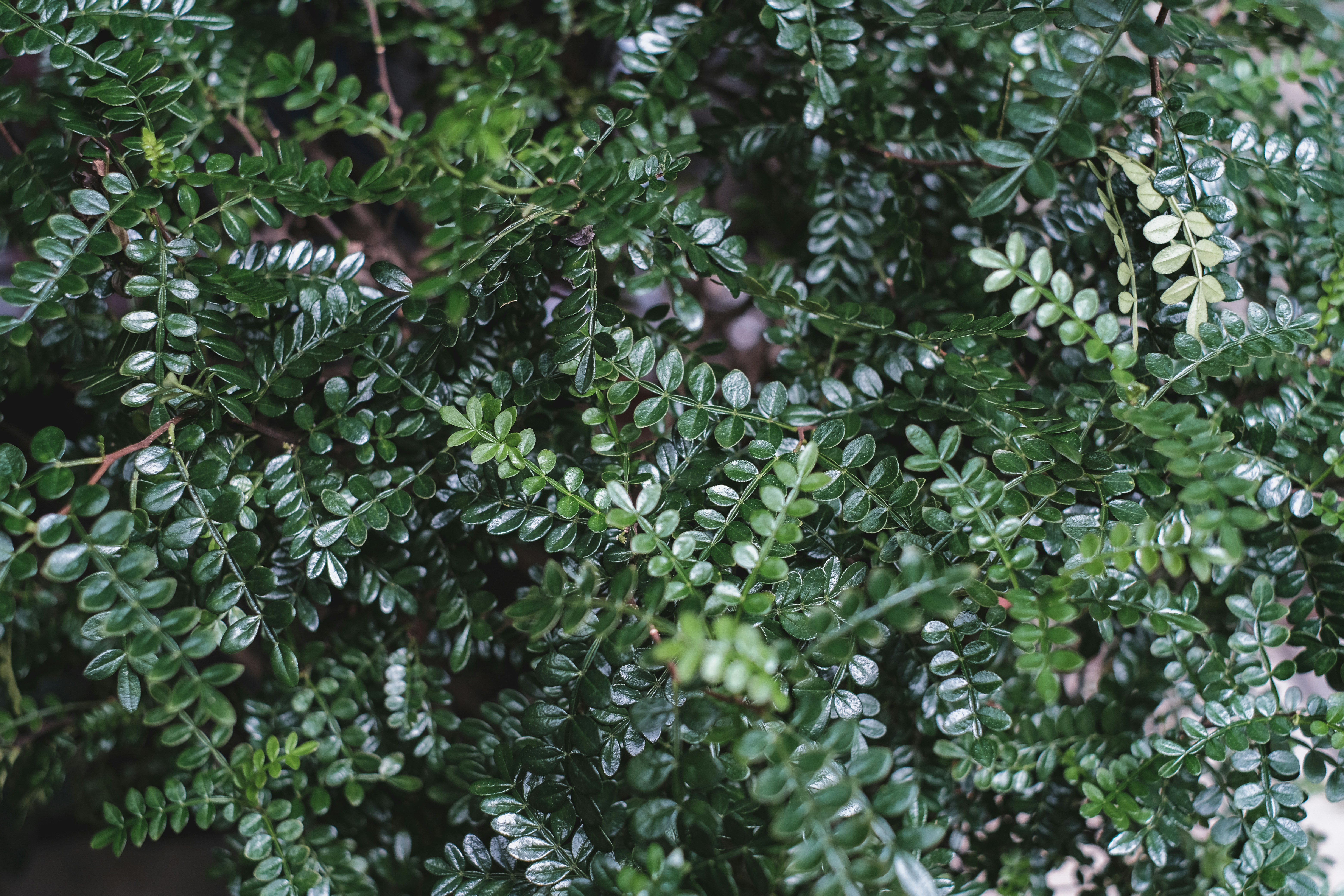 Photo by airamdphoto