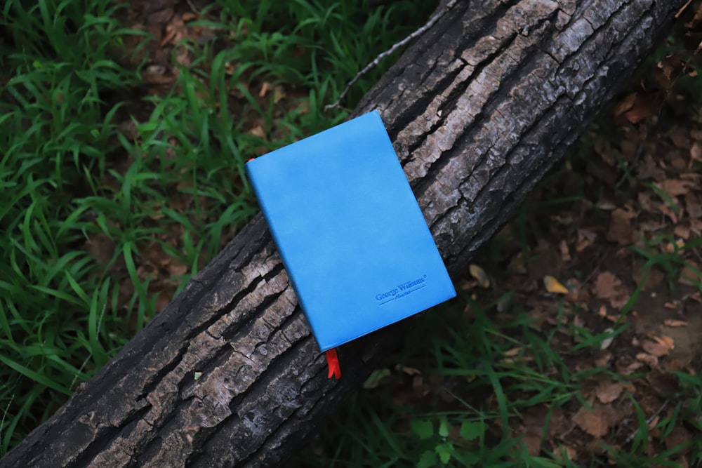 blue book on log