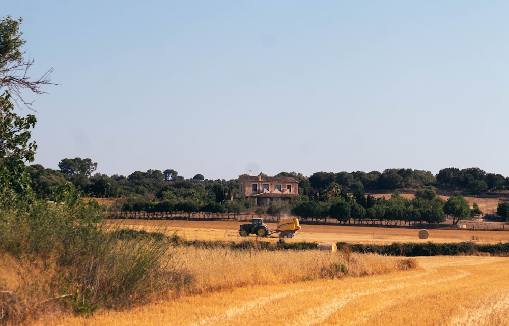 brown field during daytime