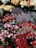 A vibrant assortment of various flowers, including red roses, pink peonies, yellow chrysanthemums, lavender sprigs, and white roses, all arranged in a display. The flowers are fresh and blooming, creating a lush and colorful scene with green foliage accentuating the mix.