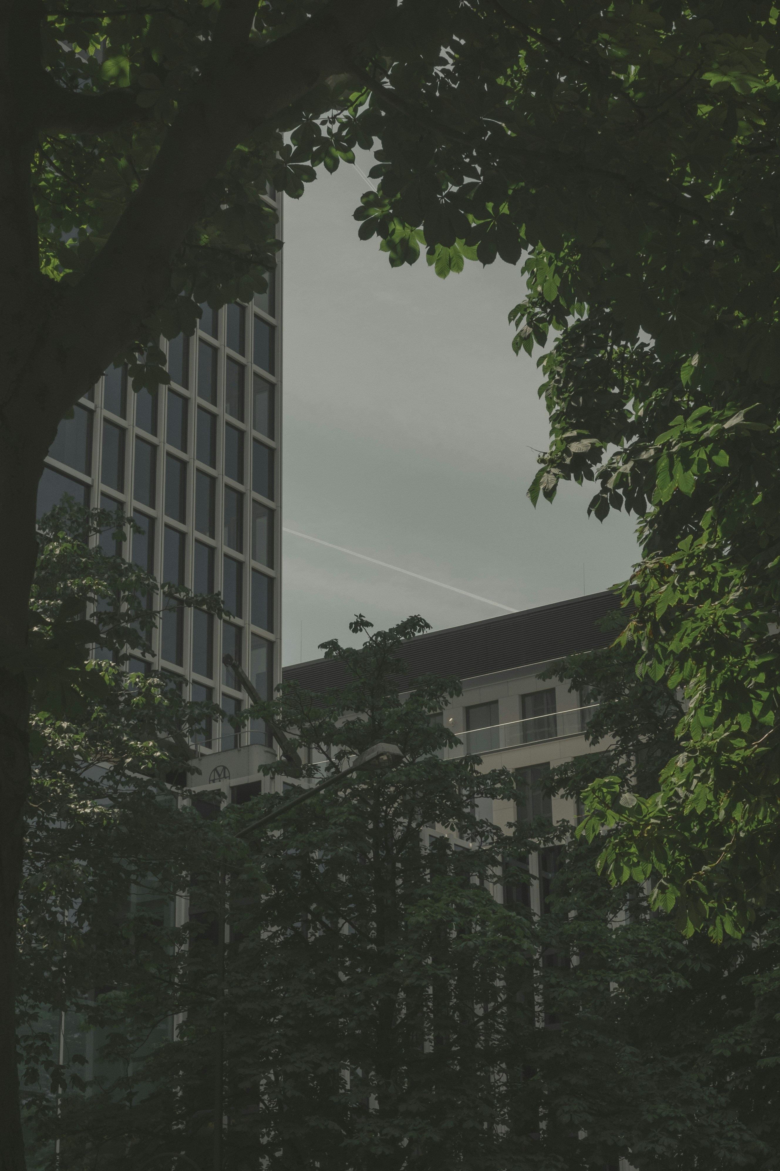 Photo by mimoto_photo