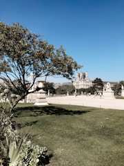 A vibrant community gathering in a lush garden surrounded by ancient trees.