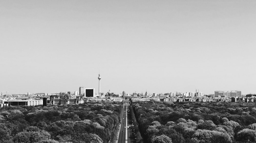 black and white photo of trees