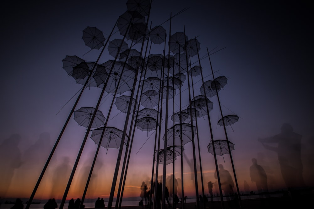 Photo en grand angle de parapluie