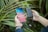 A person holding a smartphone and a black power bank connected by a cable. The background features lush green foliage, suggesting an outdoor setting. The phone screen displays various app icons.