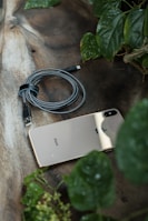 A smartphone lies on a rustic wooden surface surrounded by green leaves, accompanied by a coiled black and white braided charging cable nearby.