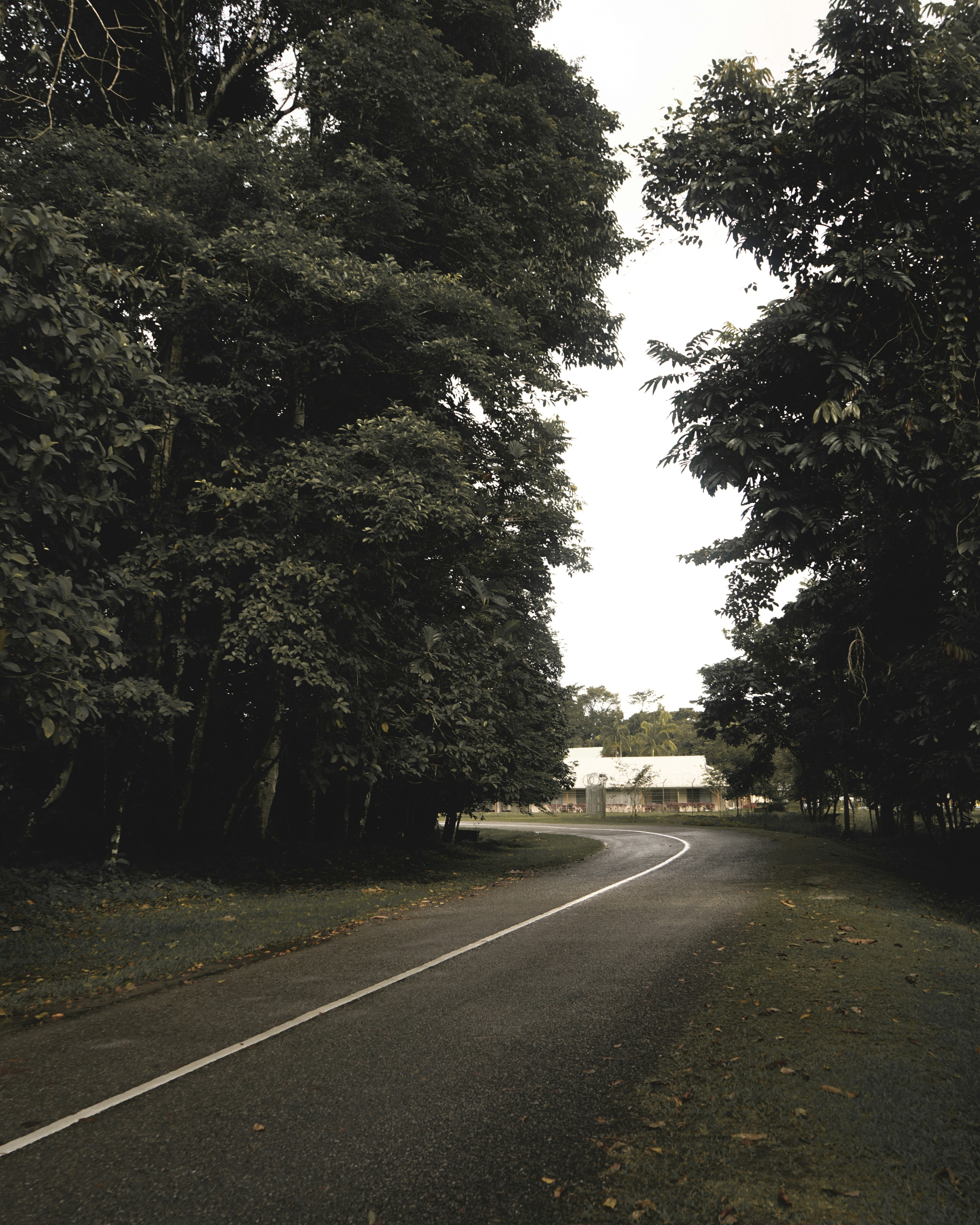 Photo by nvkvrei