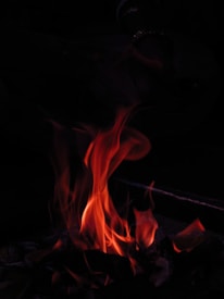 Vibrant and dynamic flames dance upward against a dark background, casting an orange glow on surrounding objects.