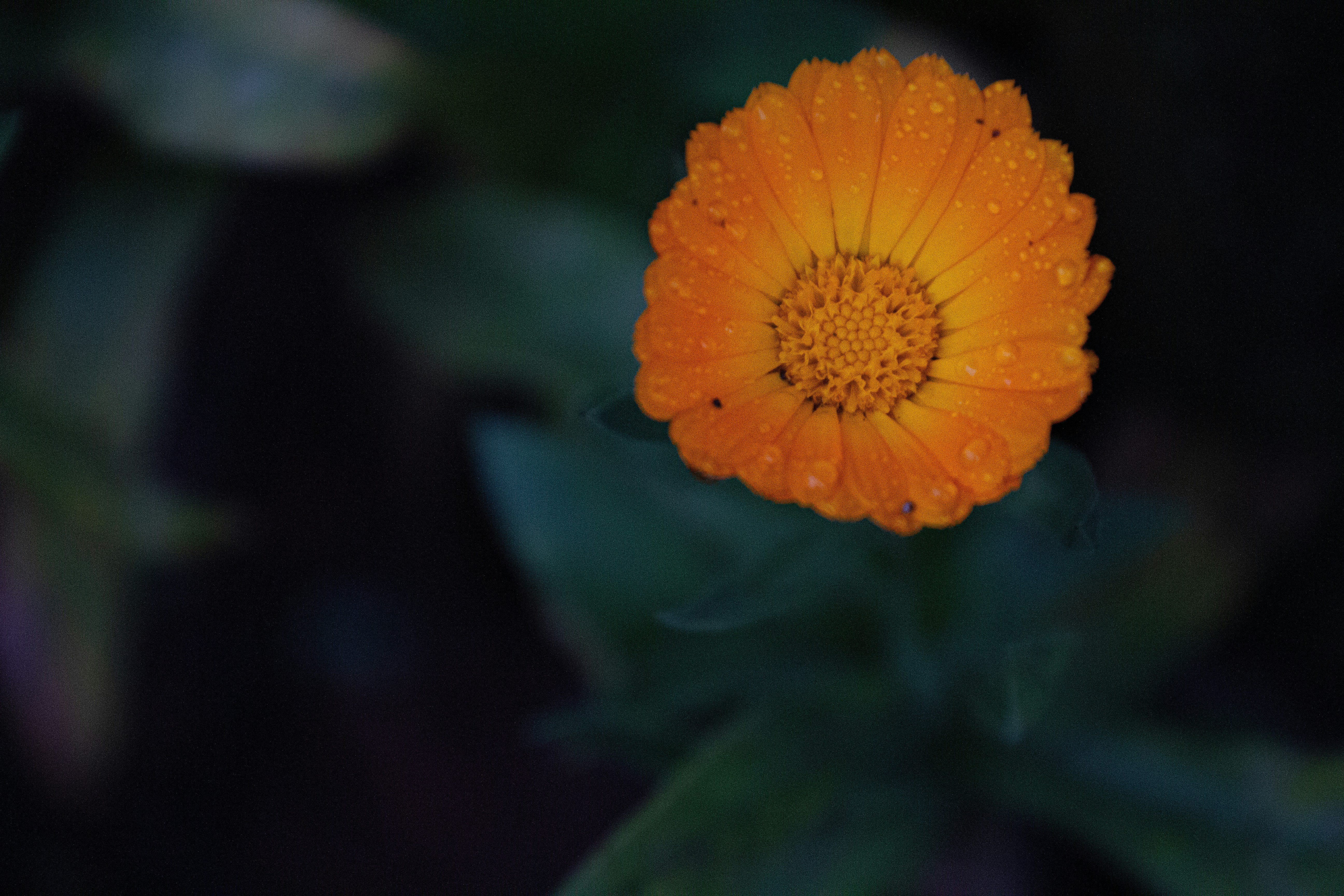 Photo by wildandbeyondbyvivek