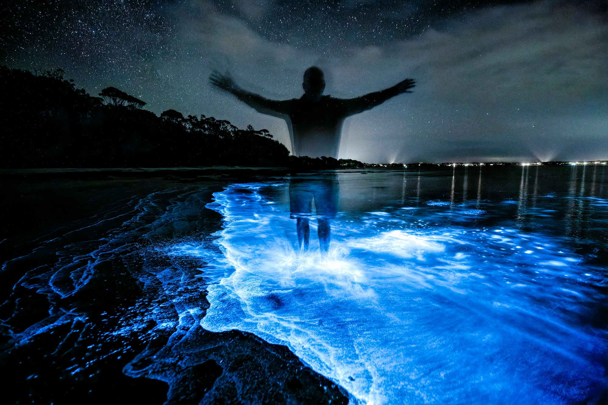 Bioluminescent Plankton Turn the Sea Shiny Blue at Night! 🌊💙