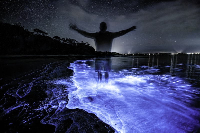 Bioluminescent glowing water at night in Florida lagoon