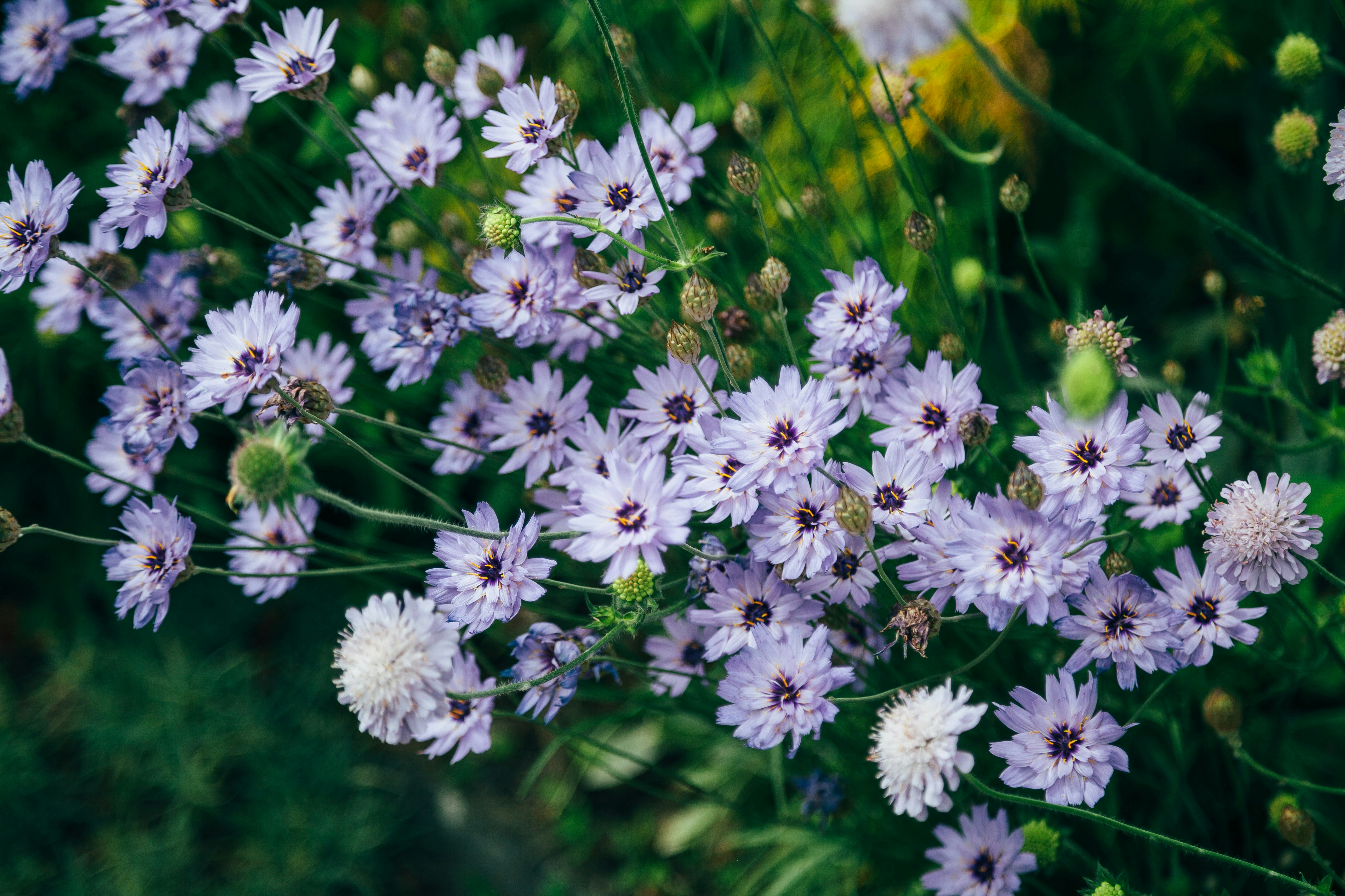 Photo by plasticmind