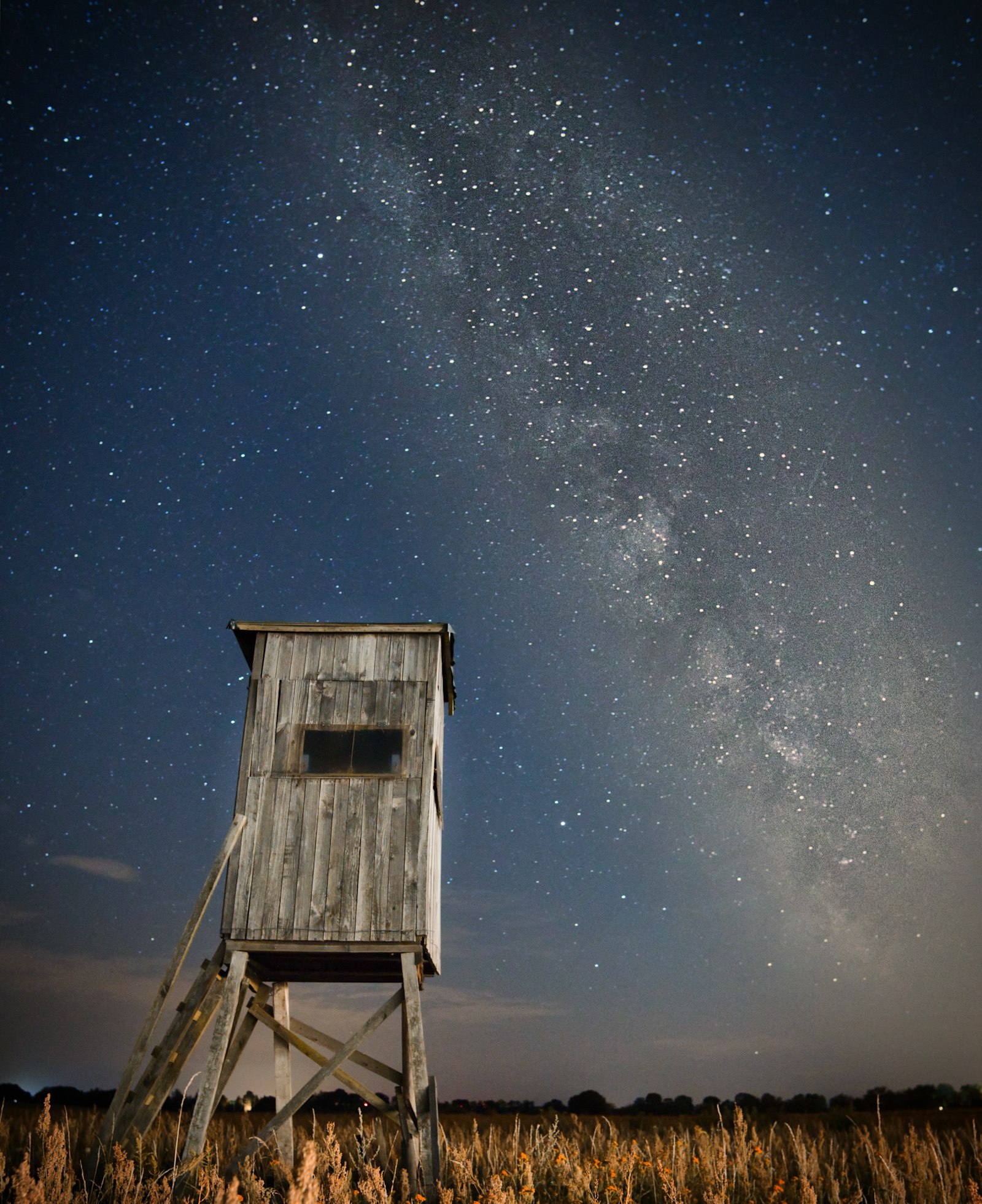 Sony a6000 + Sigma 16mm F1.4 DC DN | C sample photo. Grey wooden watchtower photography