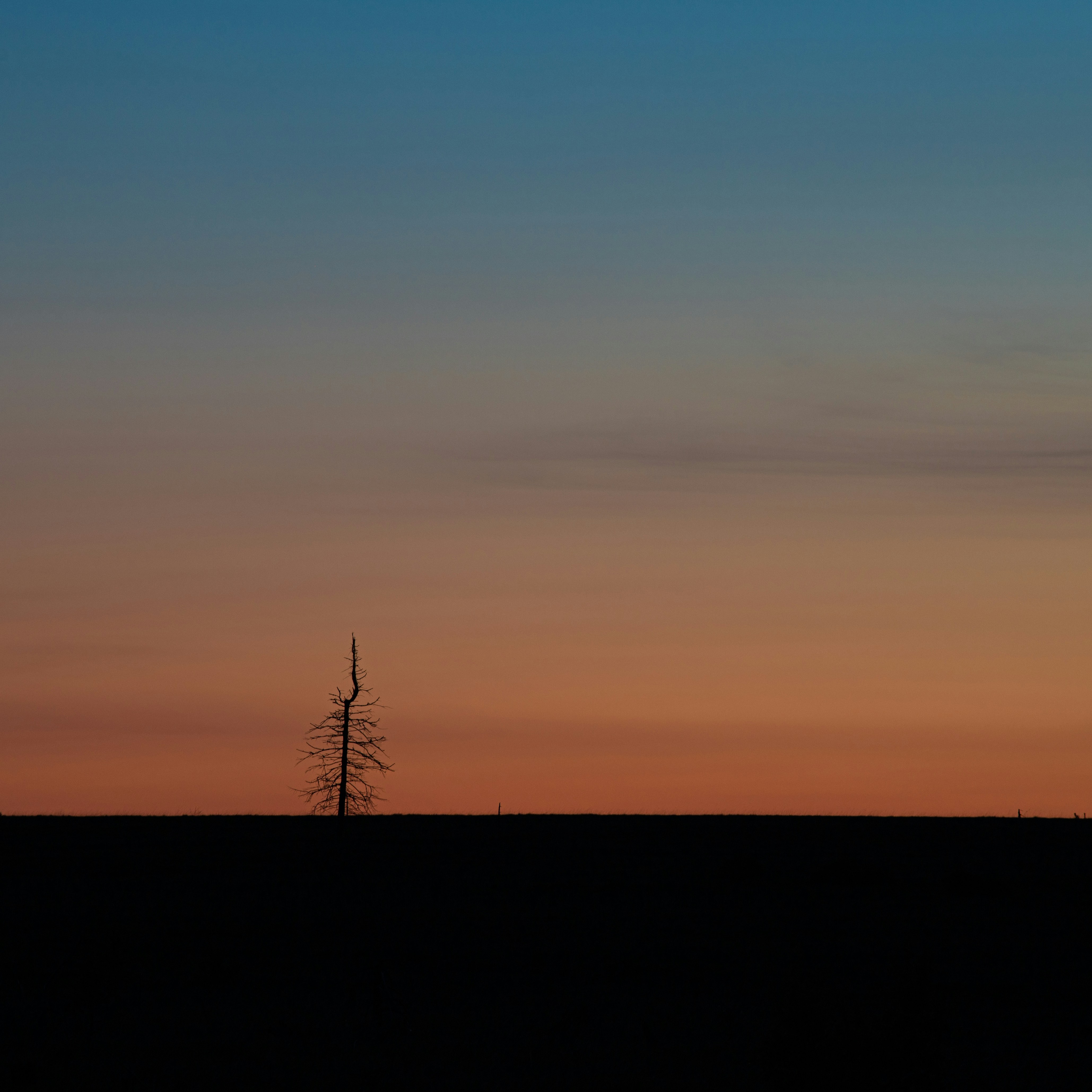 Photo by pascaltreichler