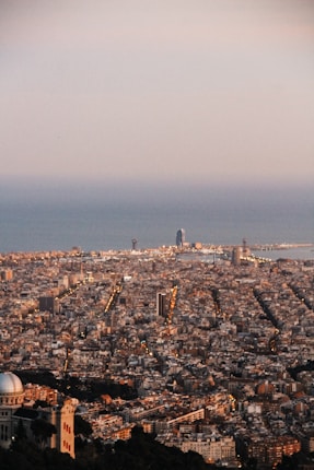 A vast urban landscape stretches towards the horizon, featuring densely packed buildings in a city. The skyline includes a prominent tower near the coastline. The scene is captured during a time that casts warm, soft light over the area.