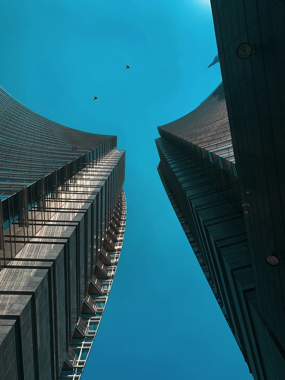 low angle photo of two high rise buildings