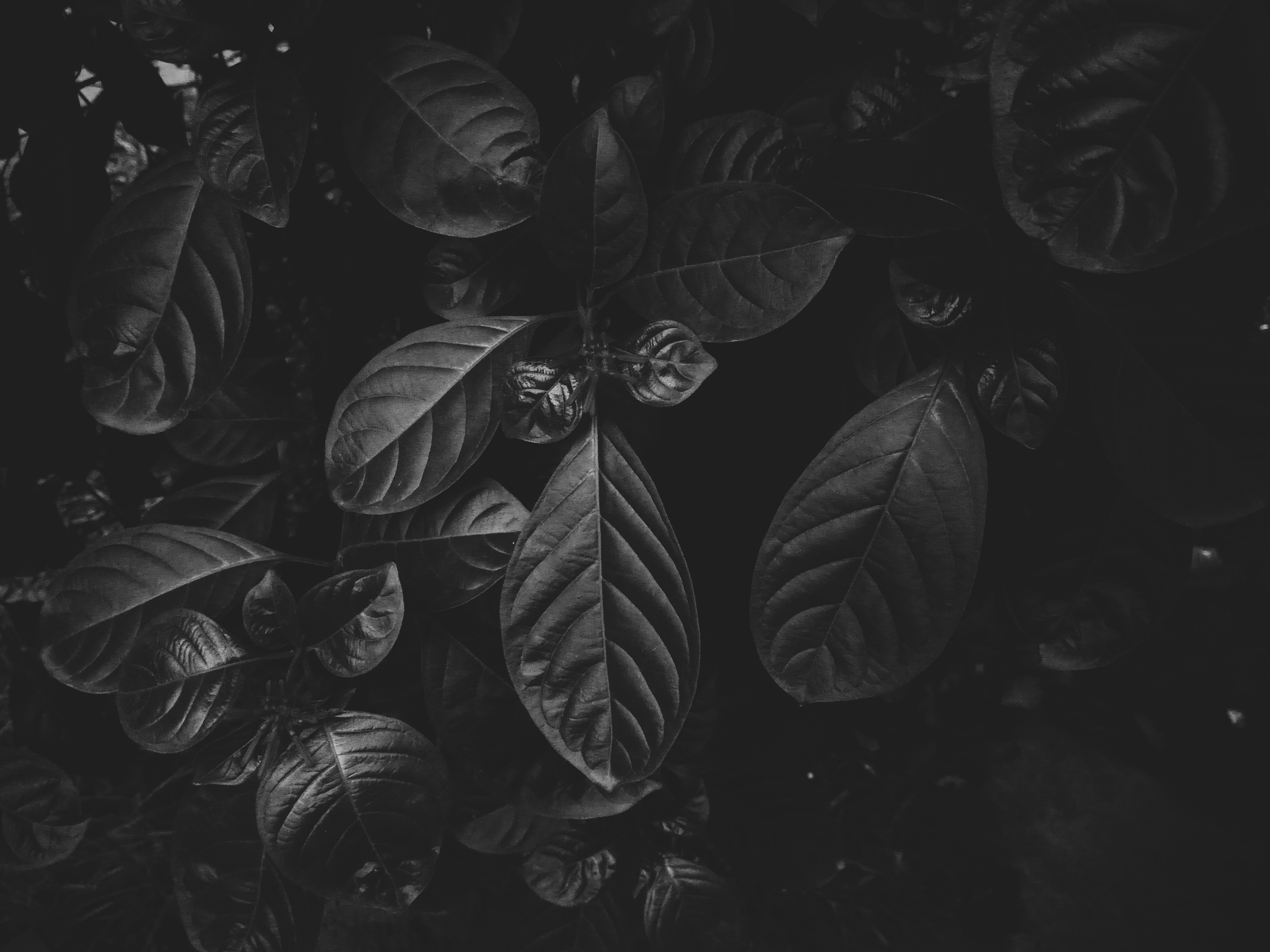 Photo by its__strange__