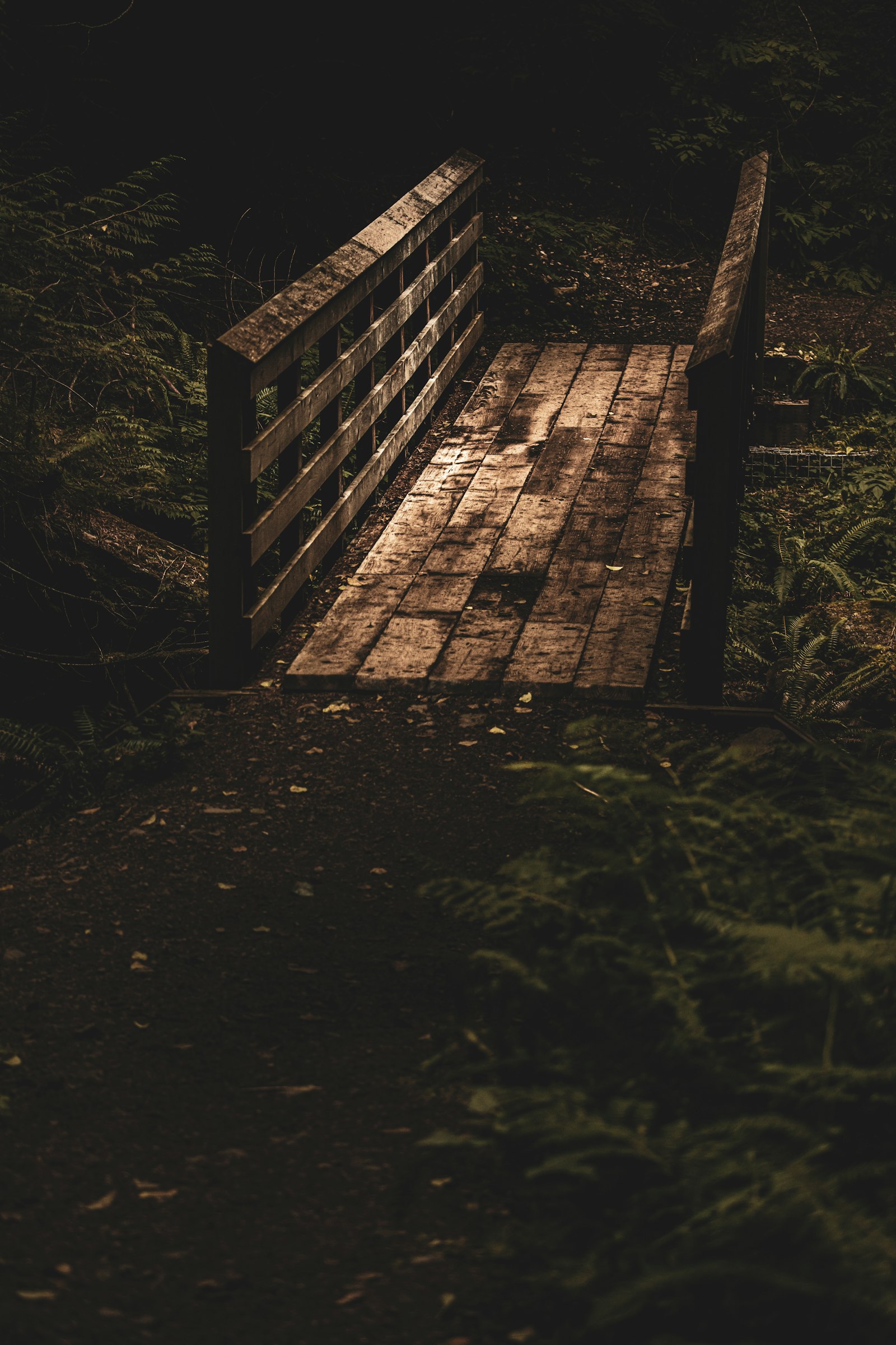Canon EOS 5DS + Canon EF 100-400mm F4.5-5.6L IS II USM sample photo. Wooden bridge photography