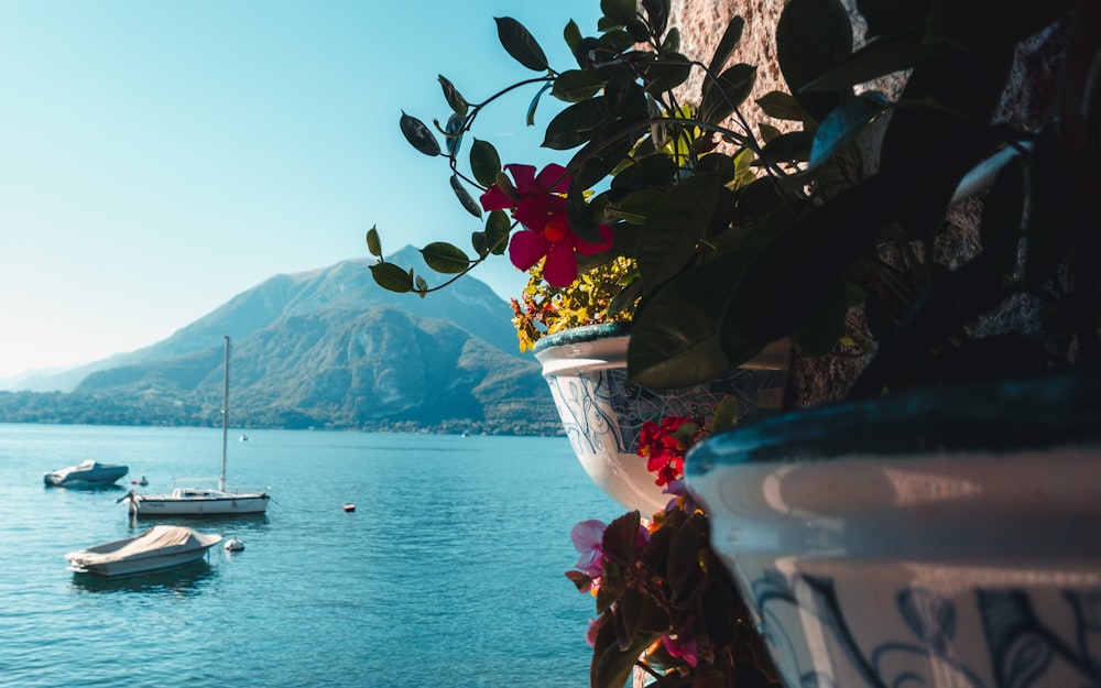 three yachts on blue sea viewing mountain