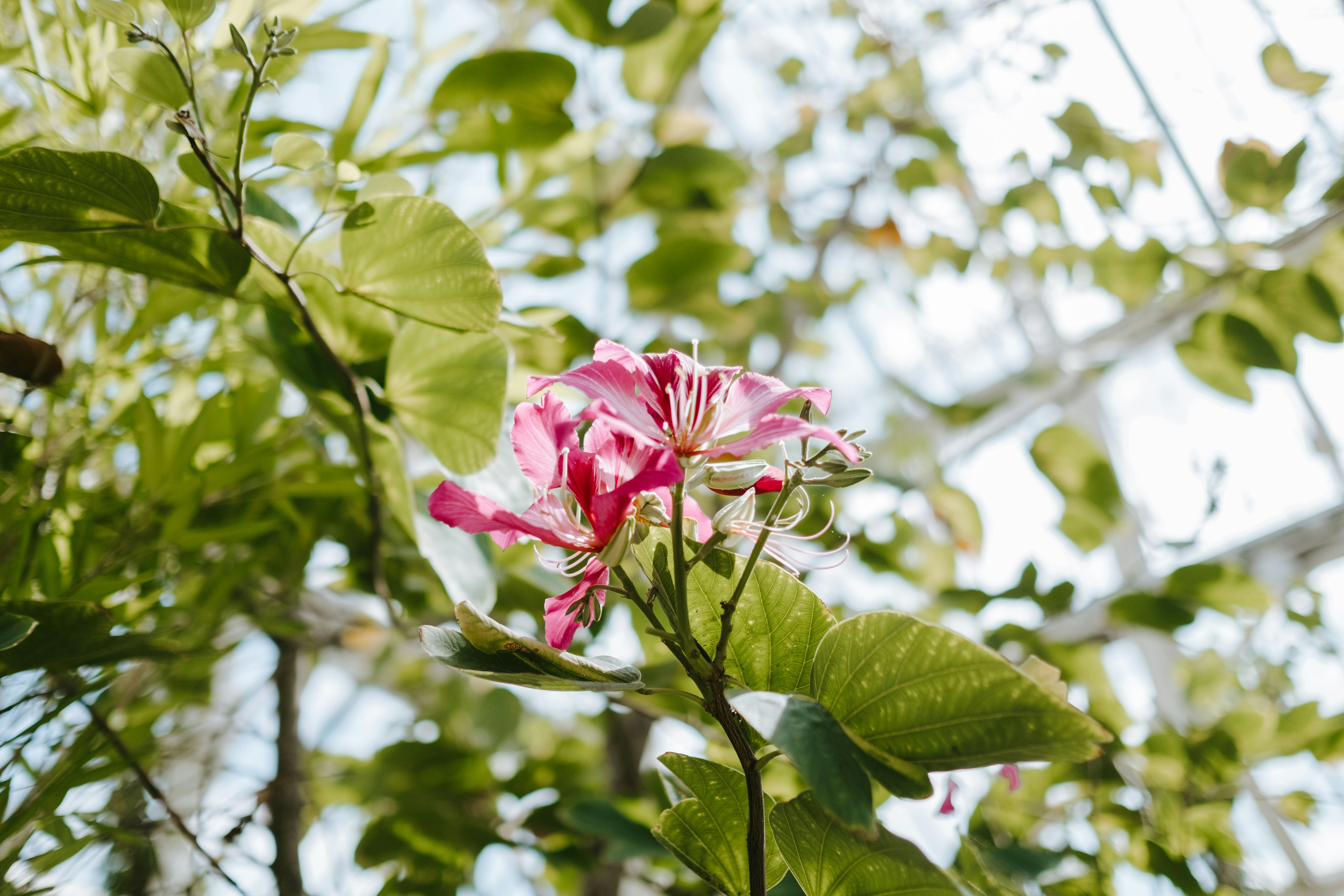 Photo by anniespratt