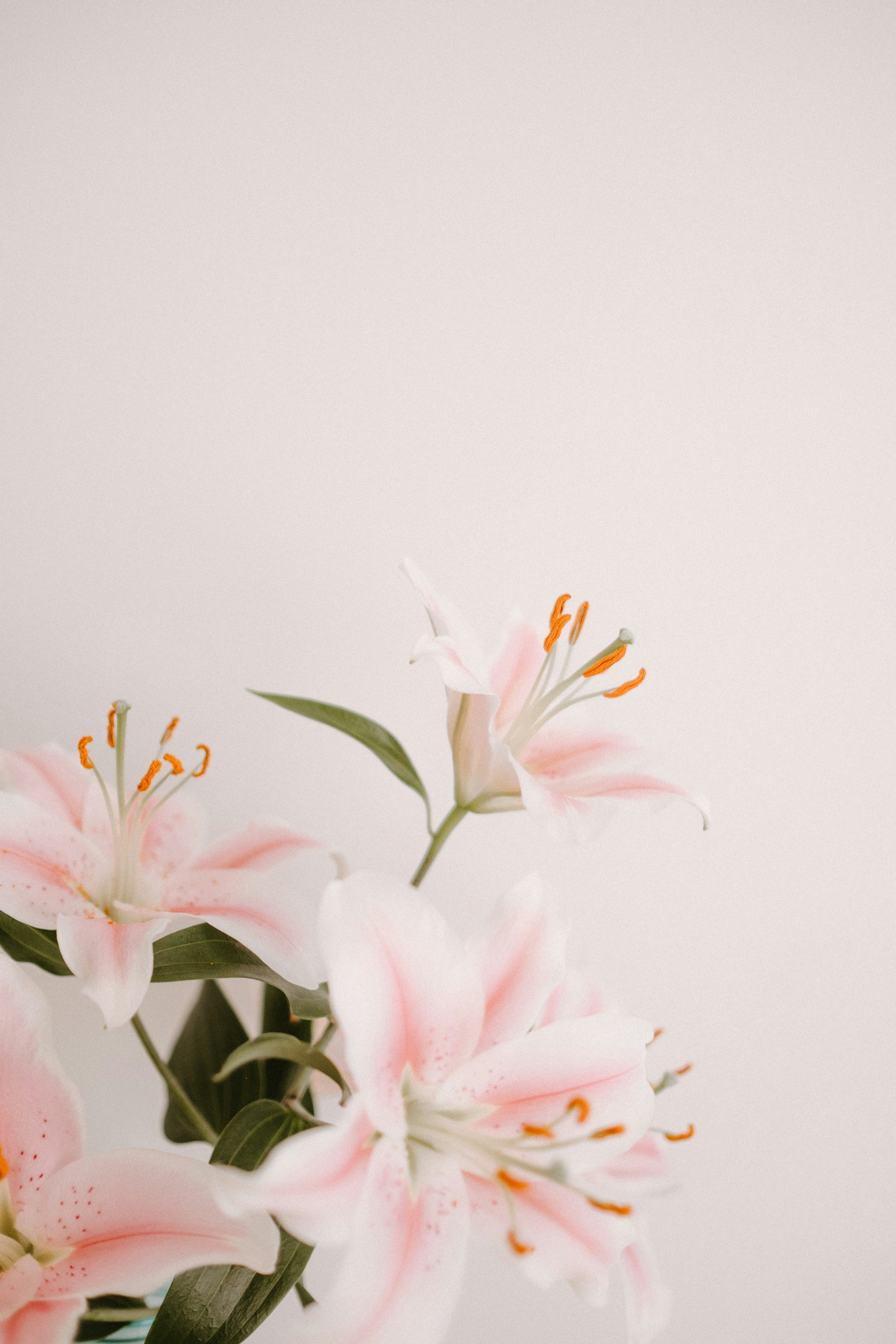 Photo by anniespratt