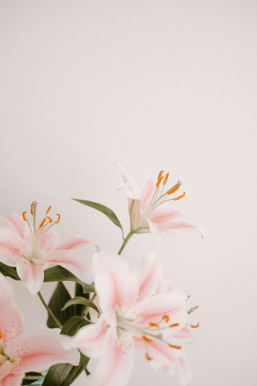 a vase filled with pink flowers on top of a table