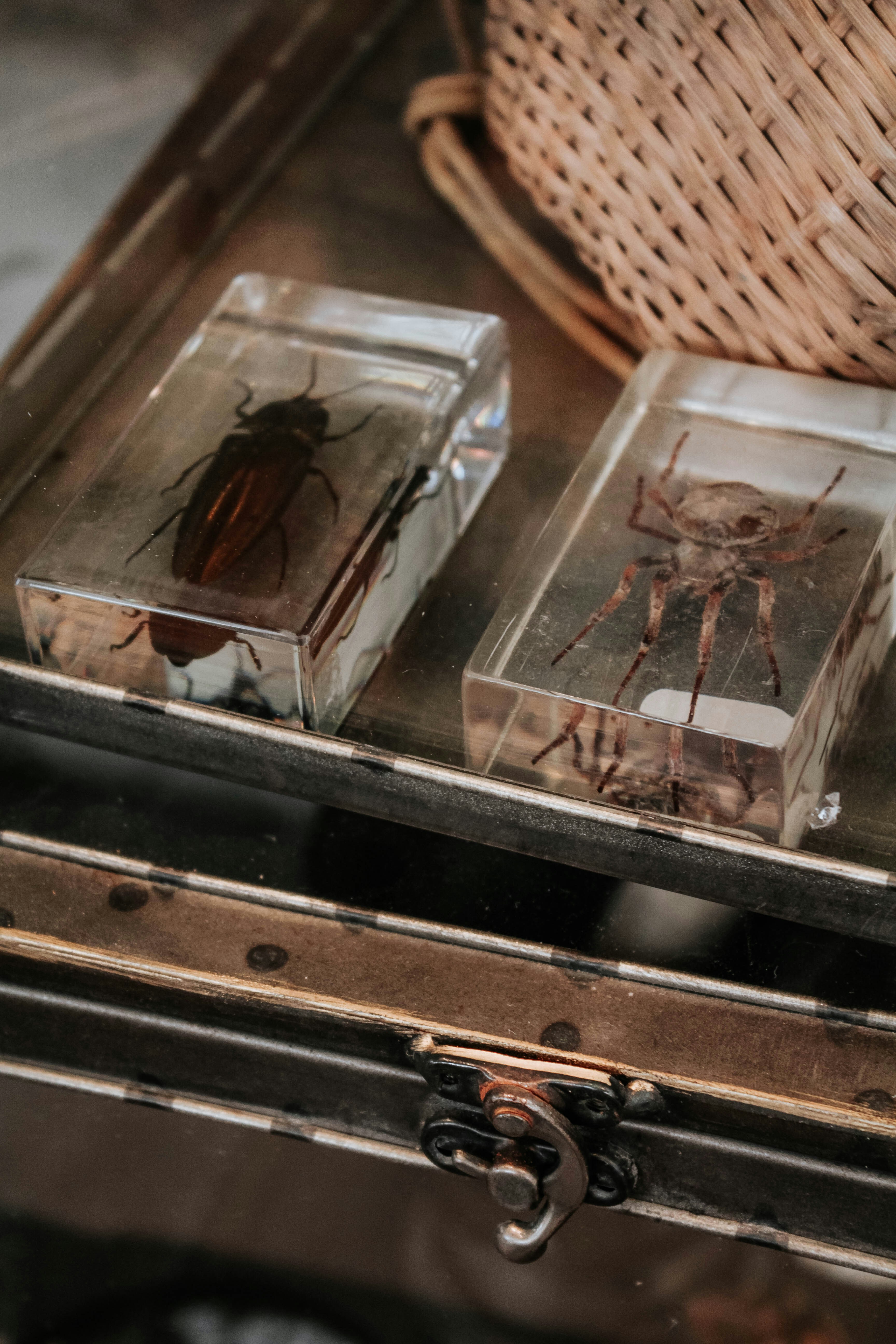 How Memories Change Every Time You Remember Them