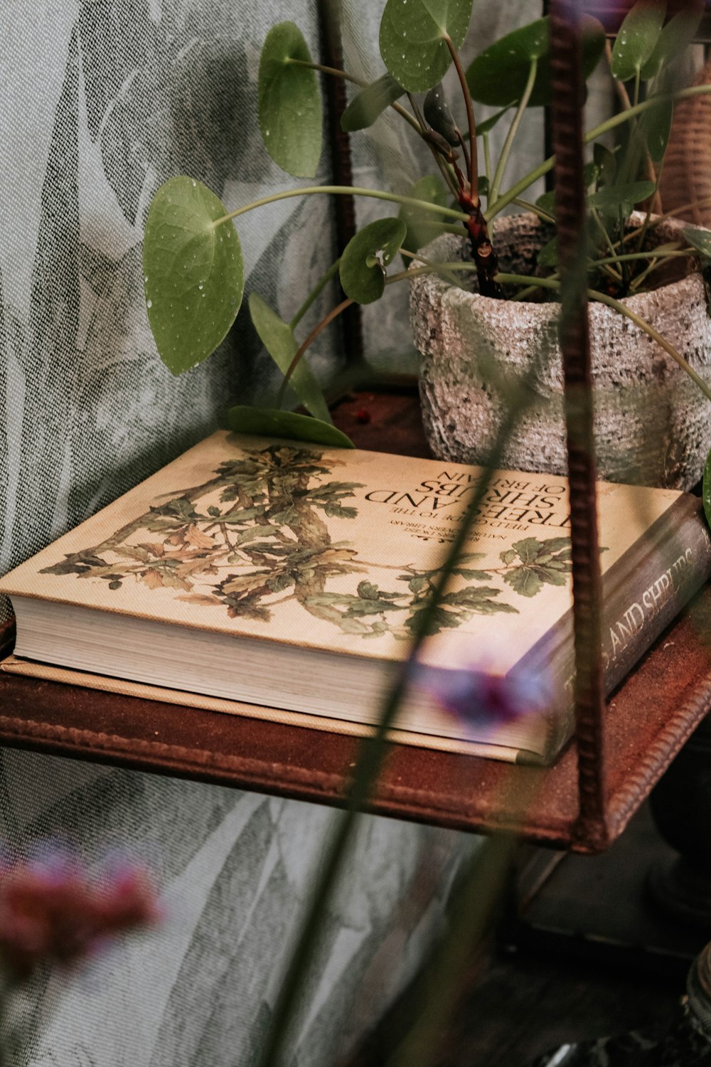 Livro marrom e verde encadernado na prateleira de parede ao lado de vasos de plantas