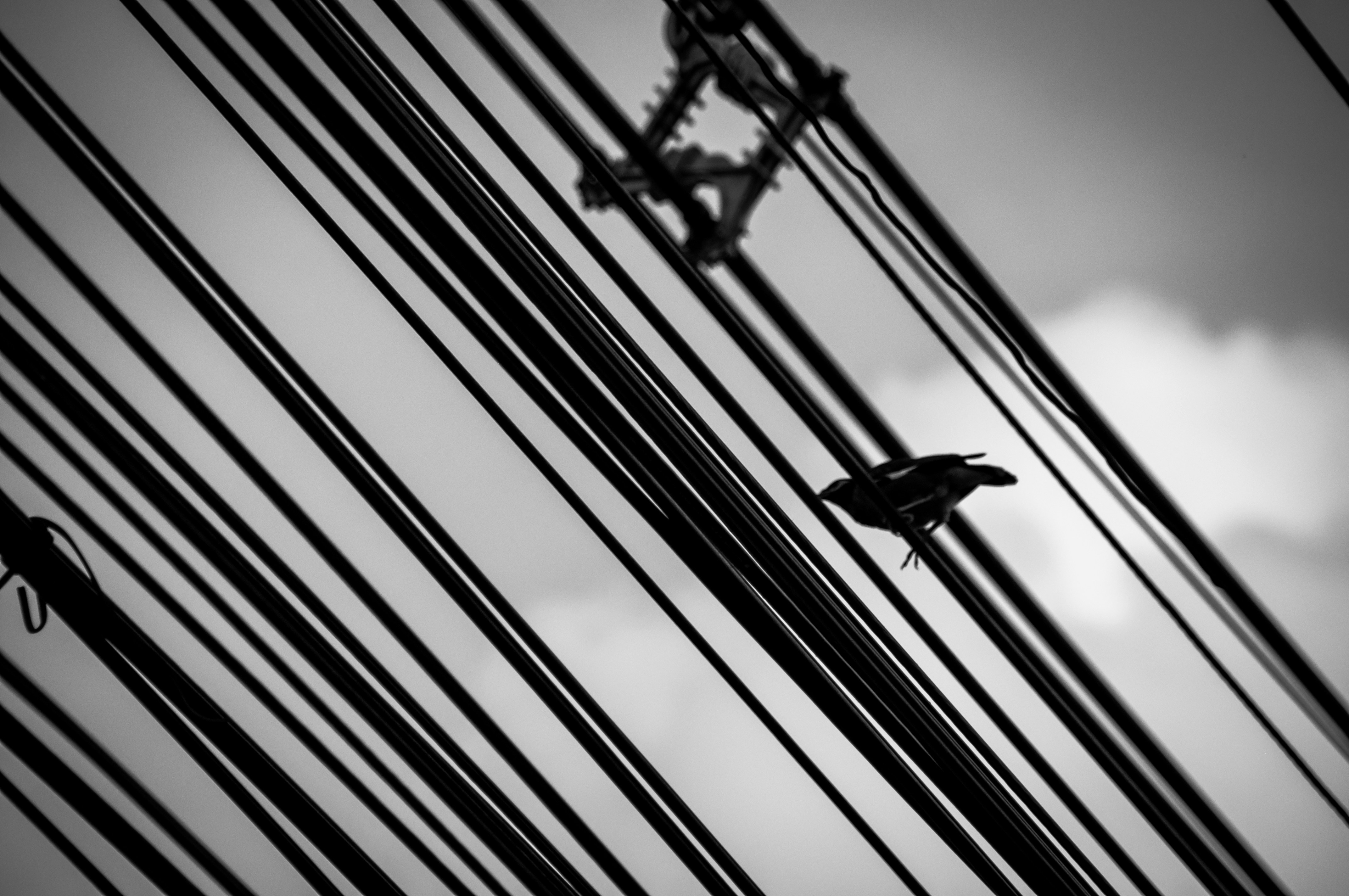 Photo by anotherleaf