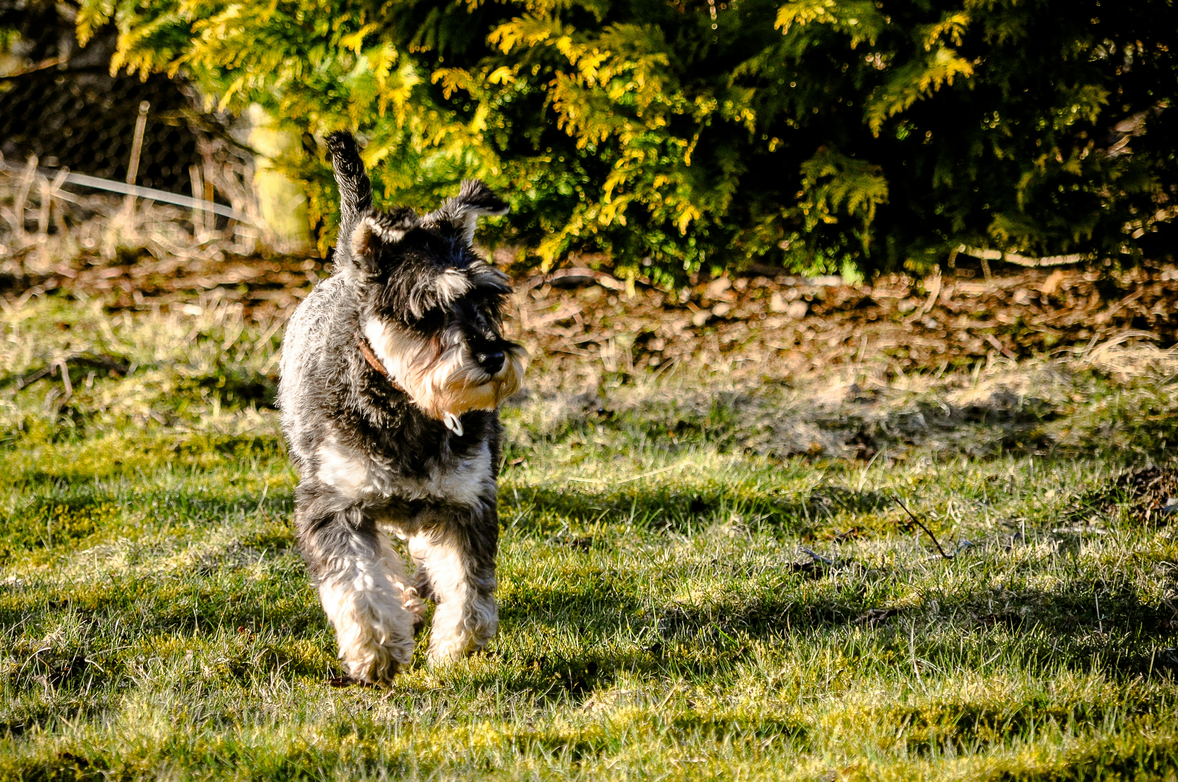 Photo by anotherleaf