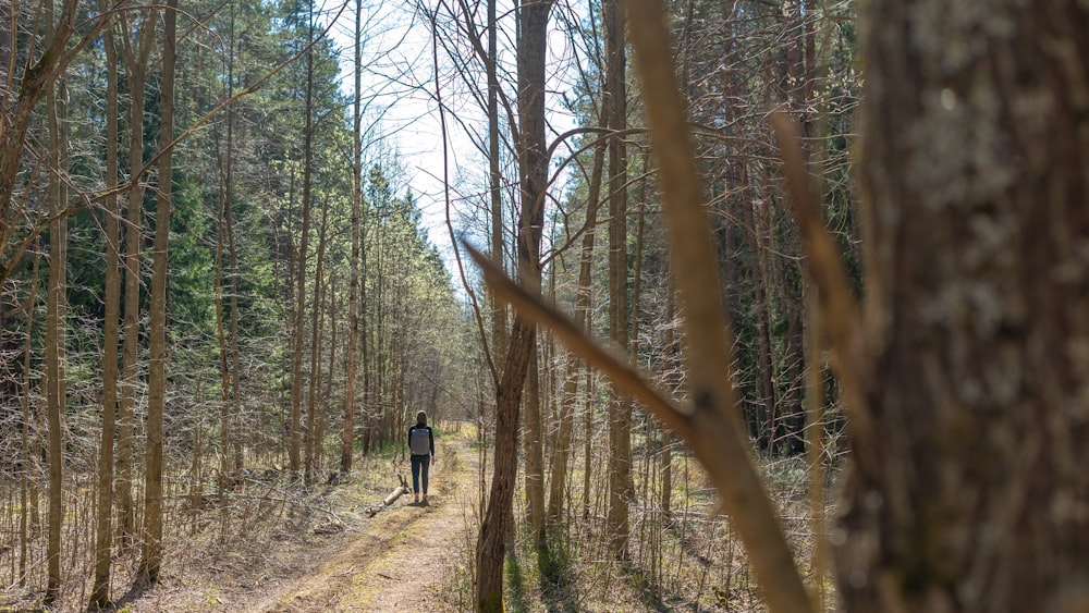 field of trees