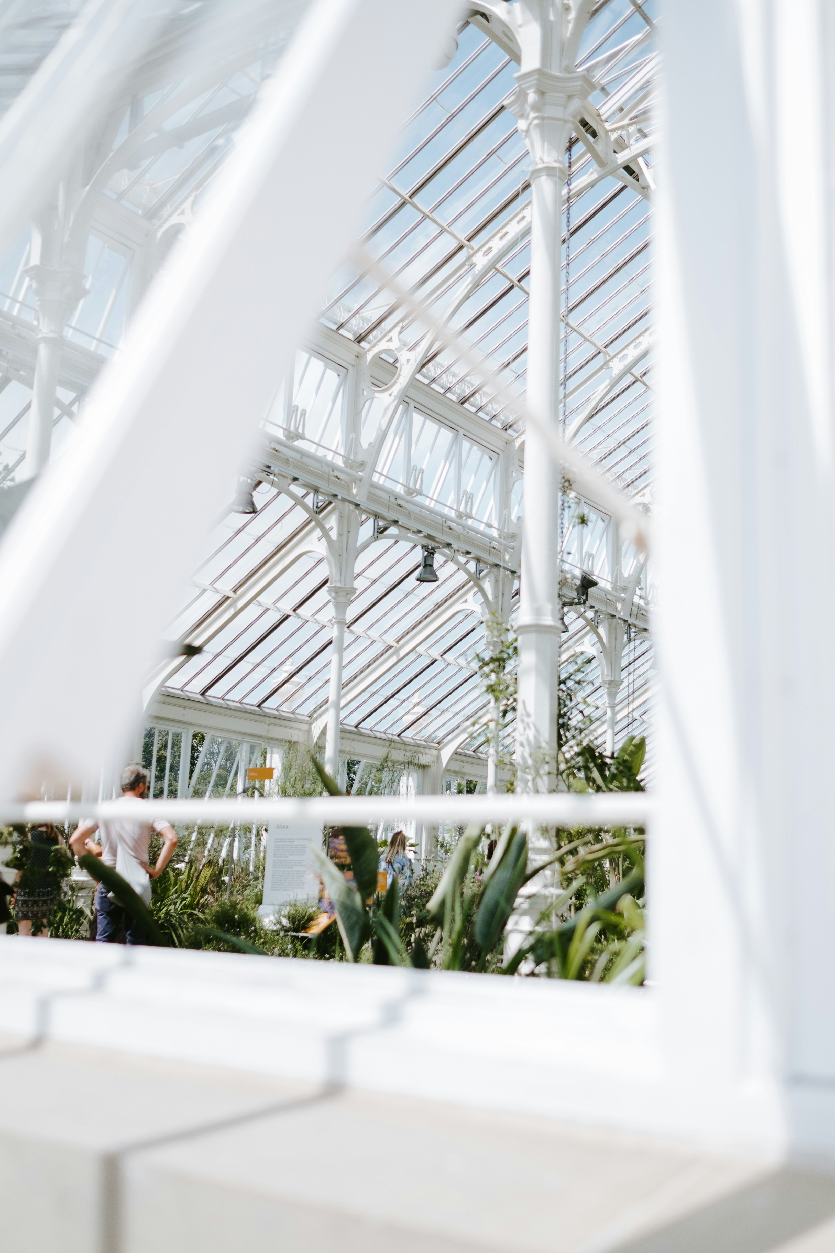 Photo by anniespratt