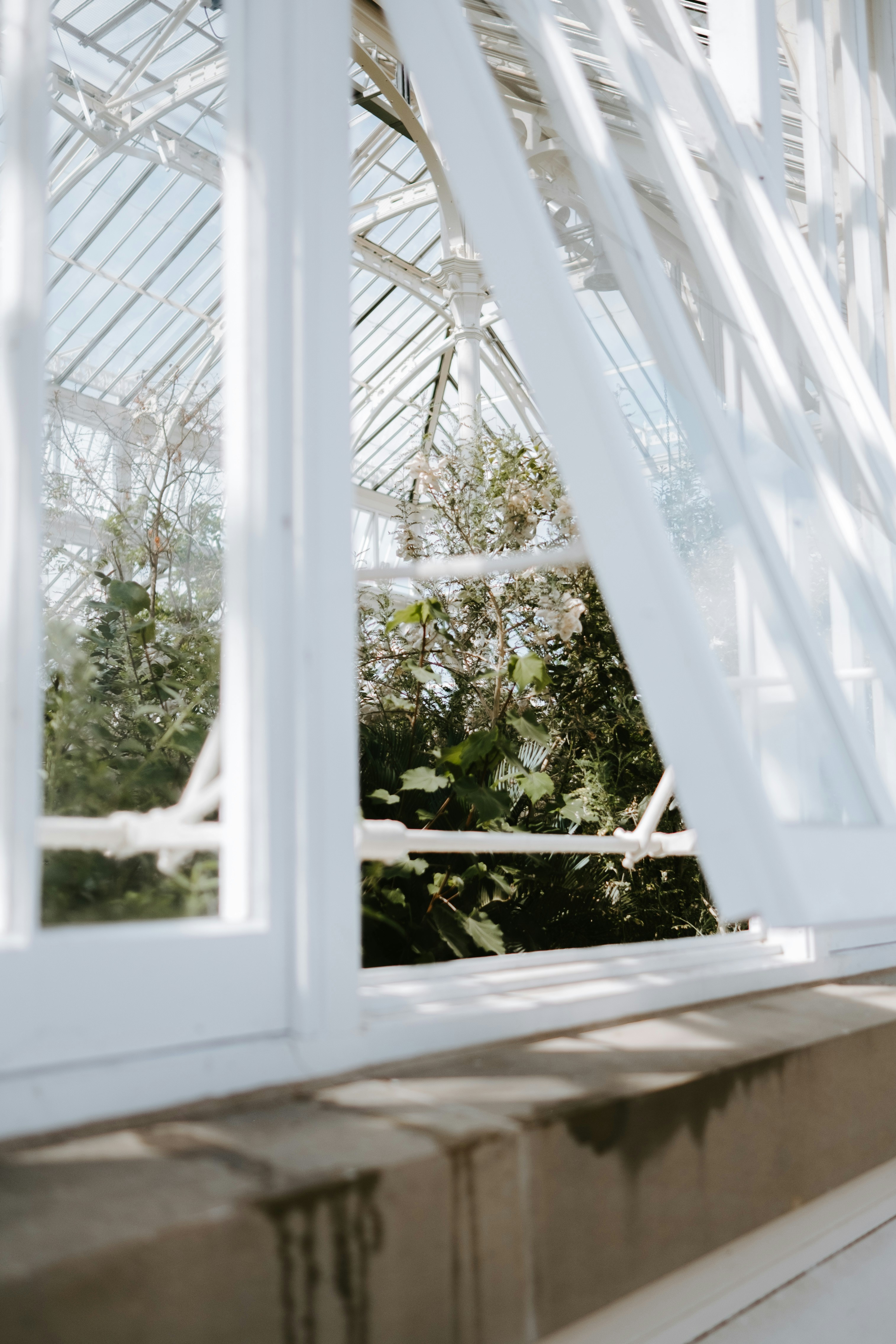 Photo by anniespratt