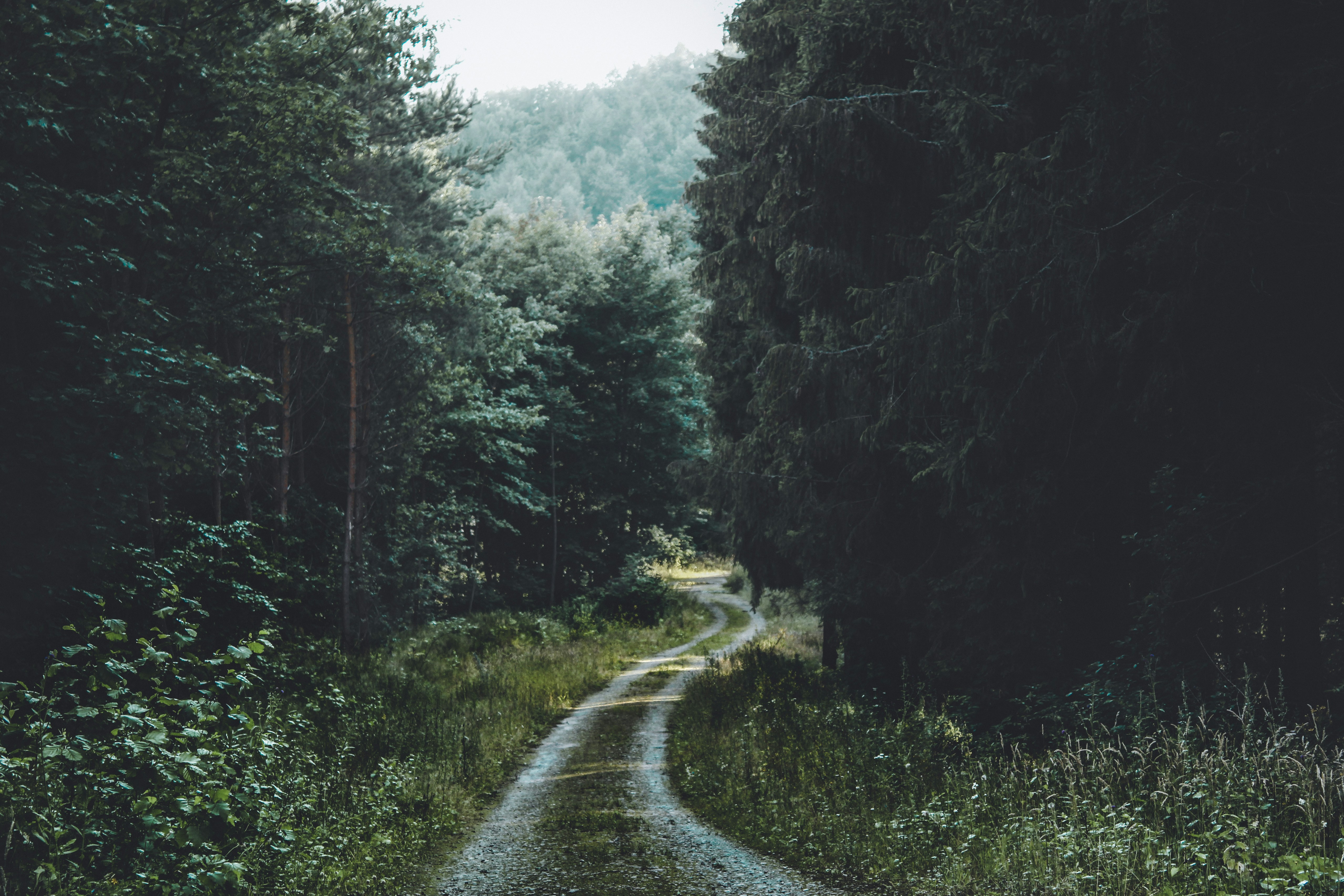 Photo by atlaskadrow