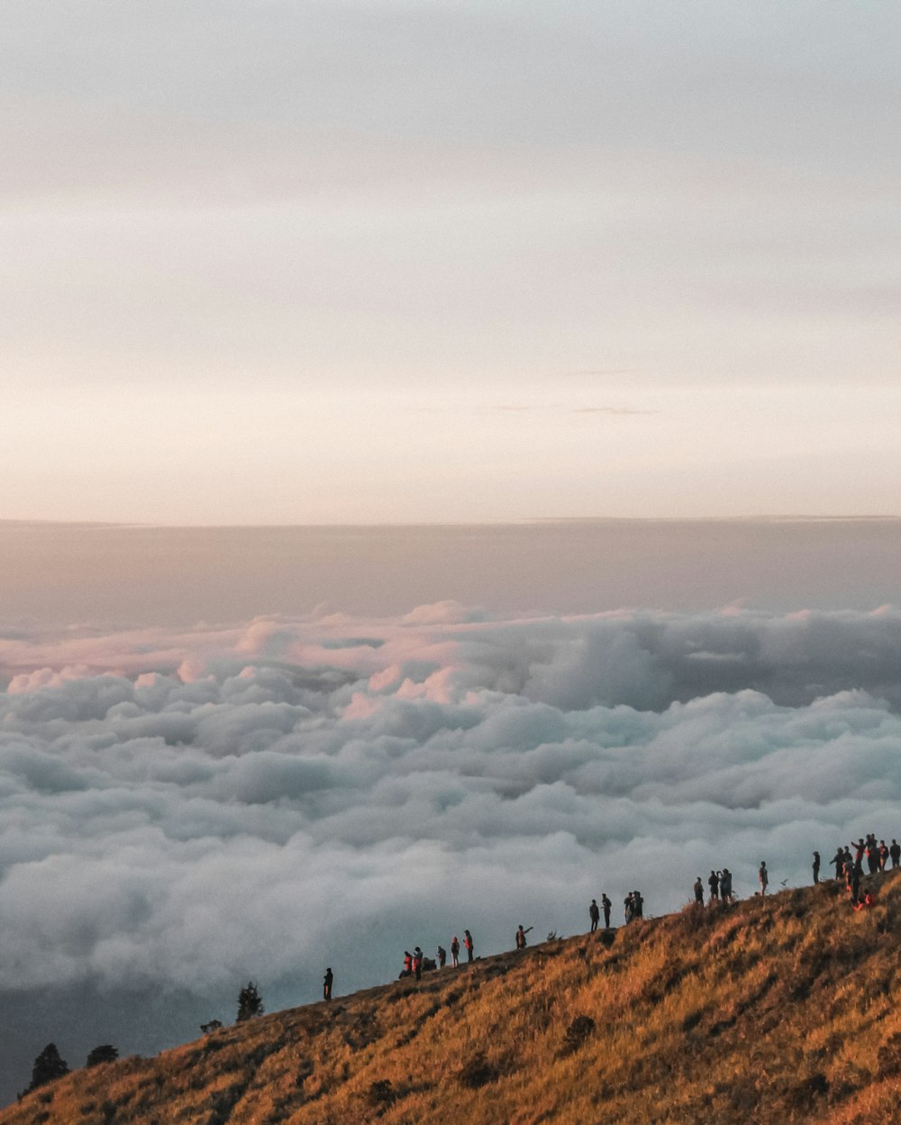 brown mountain beside white fog