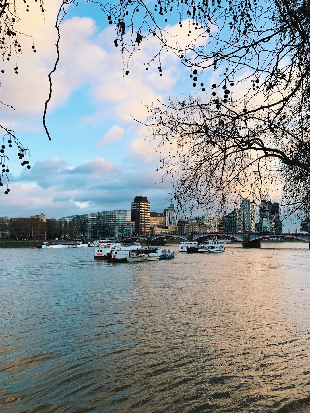 Waterway photo spot Victoria Tower Gardens Millennium Bridge