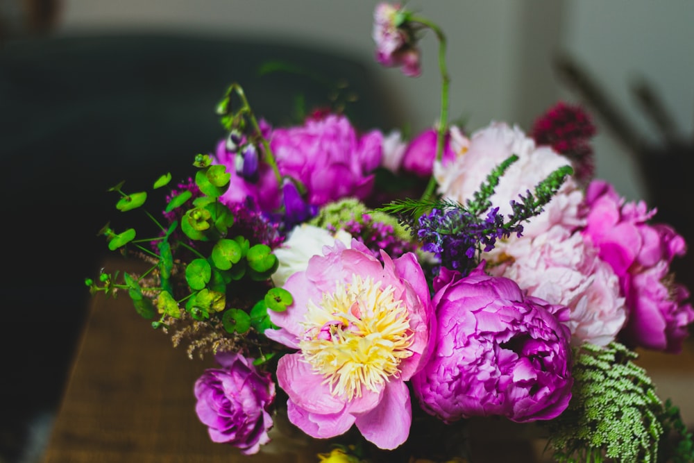 purple and white petaled flower