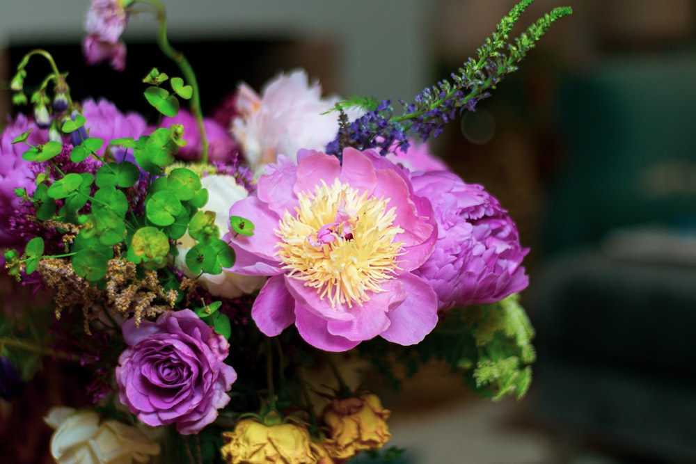 pink and yellow flowers