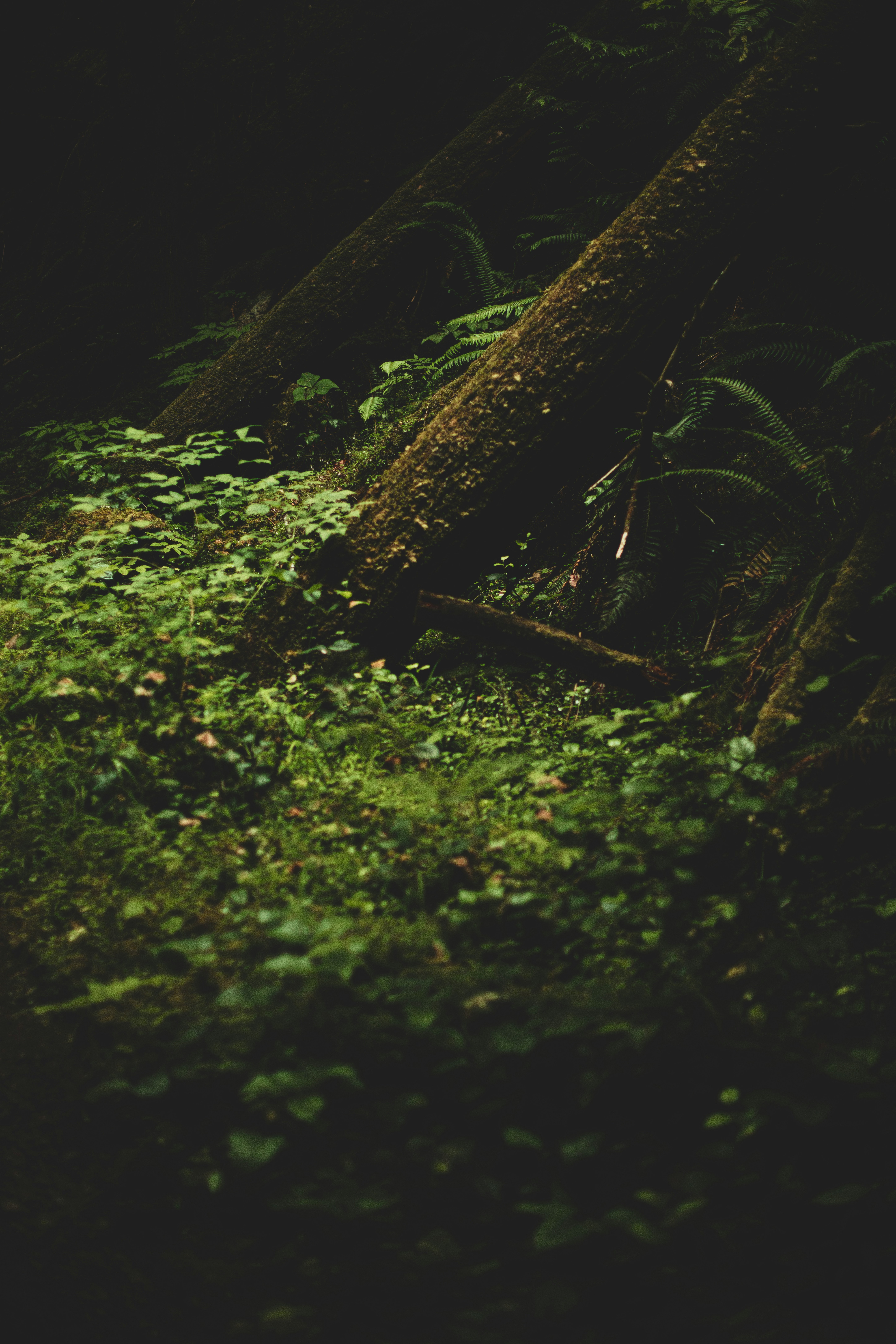 Photo by worldsbetweenlines