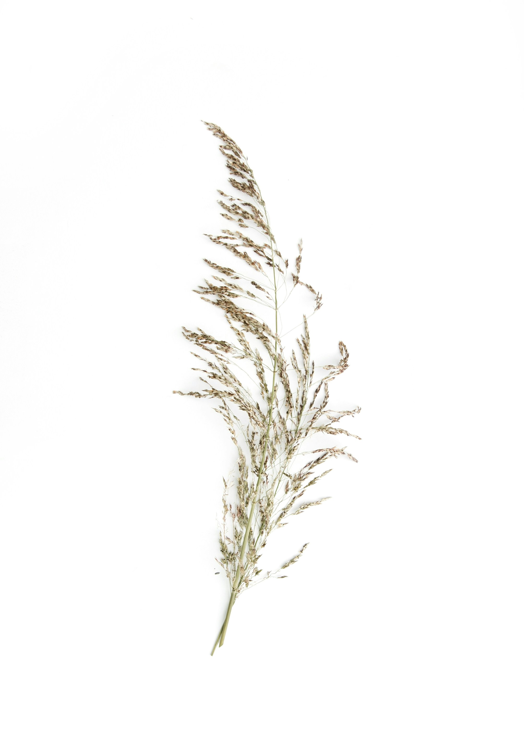 Photo by evieshaffer