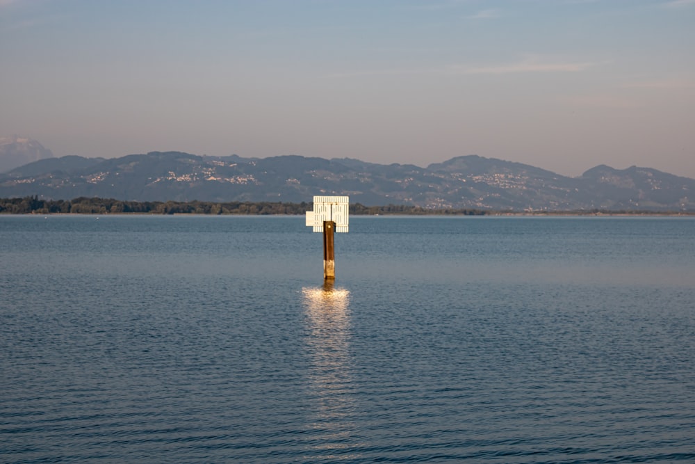 white and brown pole in lake water