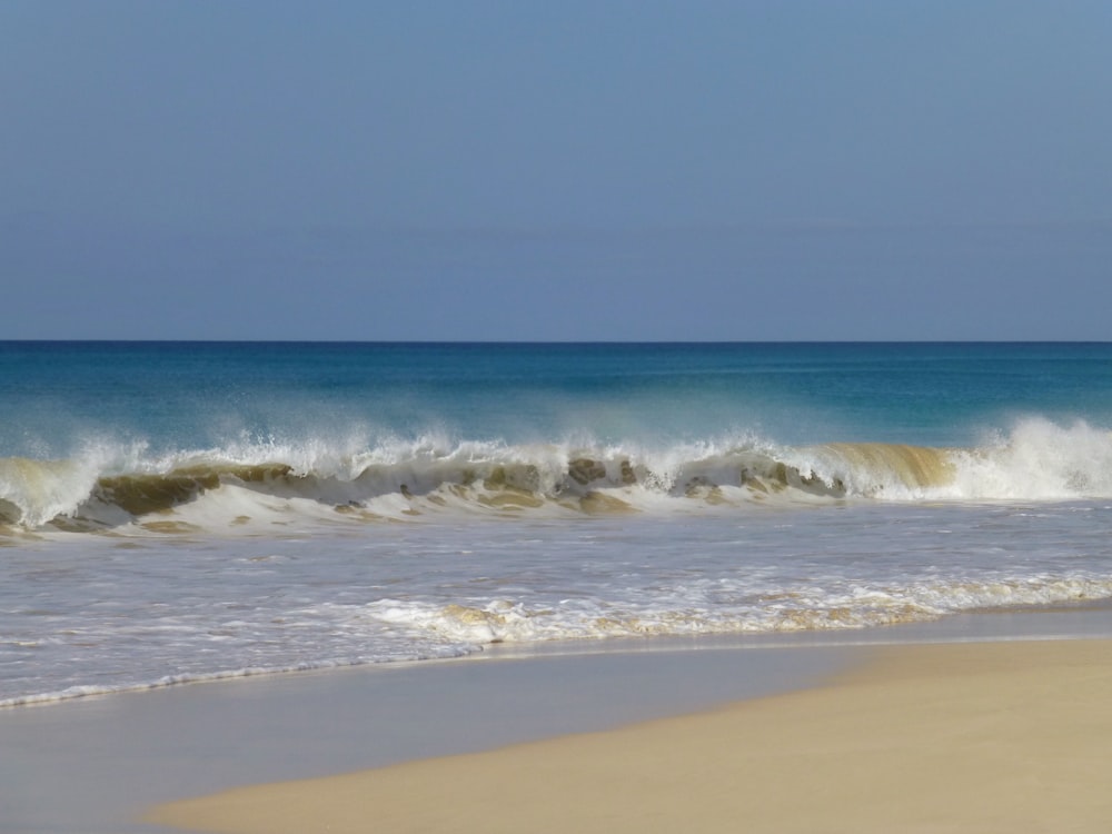 shoreline and ocean waves during daytime