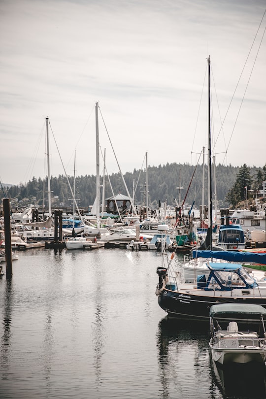 boat lot on body of water during daytime in Gibsons Canada
